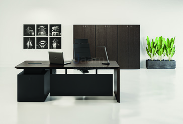 Кабинет руководителя MultipliCEO