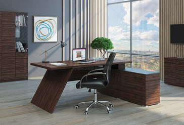 Кабинет руководителя IRVIN